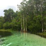 Rainbow River Florida State Park