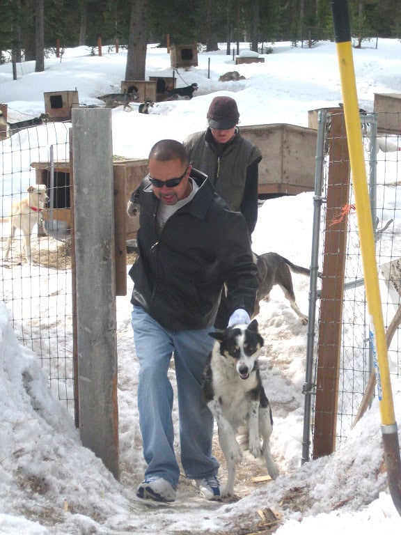 Dog Sledding