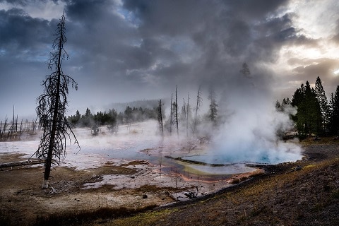 Geyser at Yellowstone