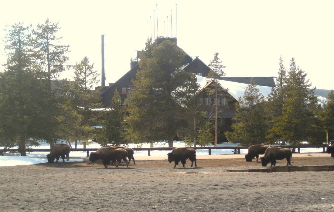 Old Faithful Inn