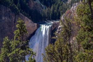 Yellowstone National Park Lower Falls Waterfall