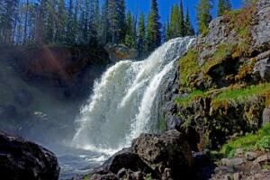 Yellowstone Summer