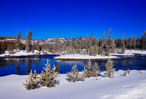 Yellowstone Winter