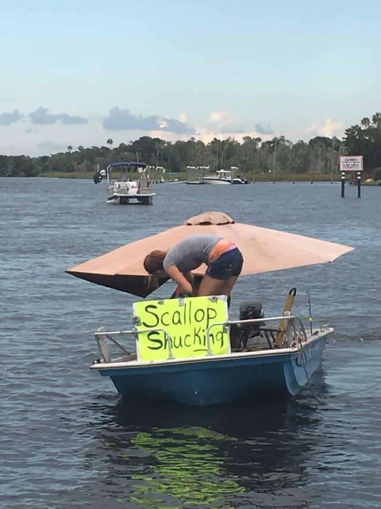 2019 Florida Scalloping
