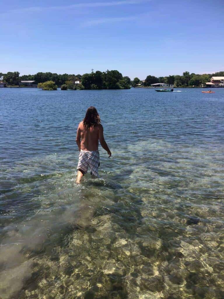 Swim With Manatees
