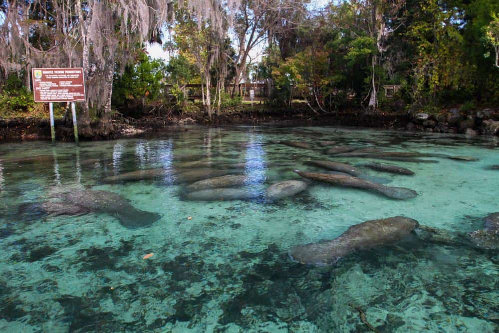 Three Sisters Springs