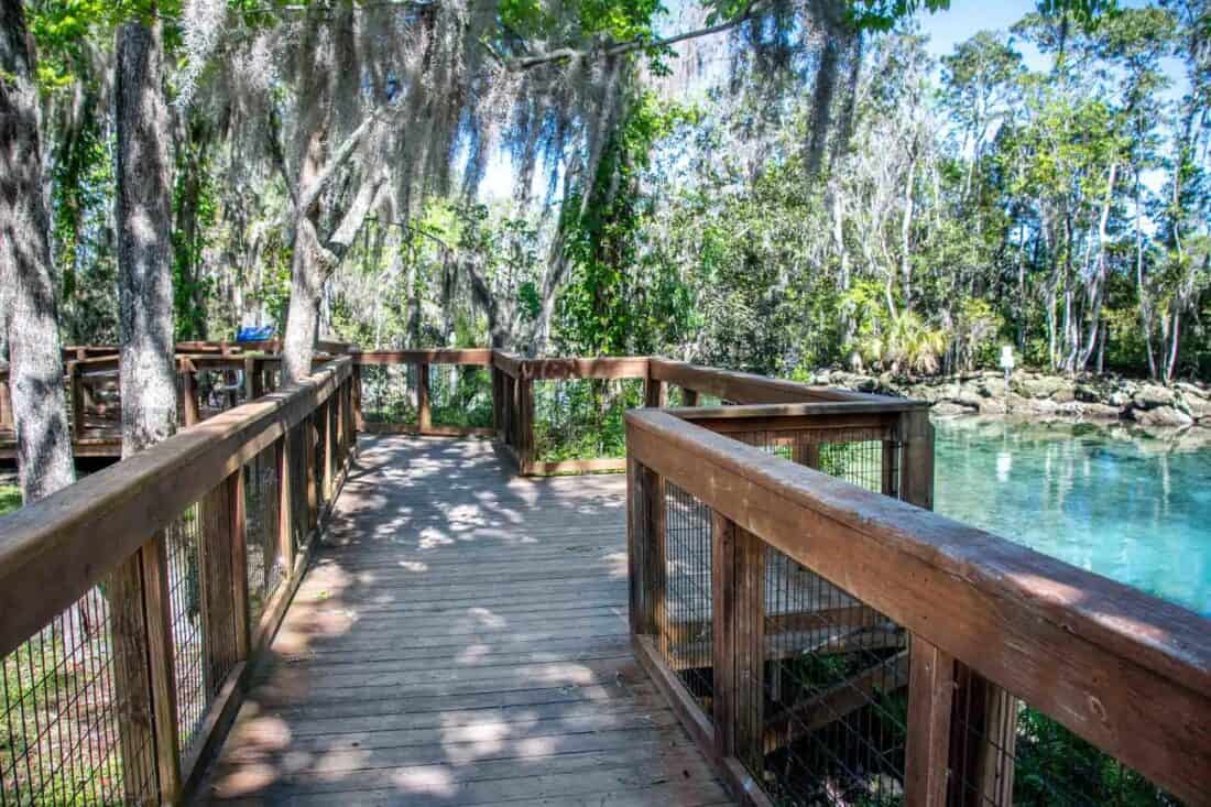 Three Sisters Springs