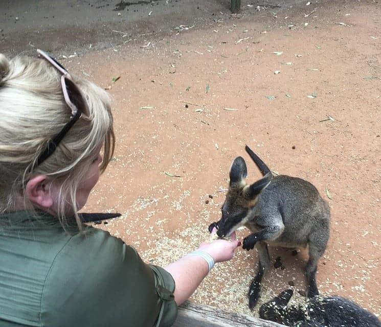 Australia Bucket List