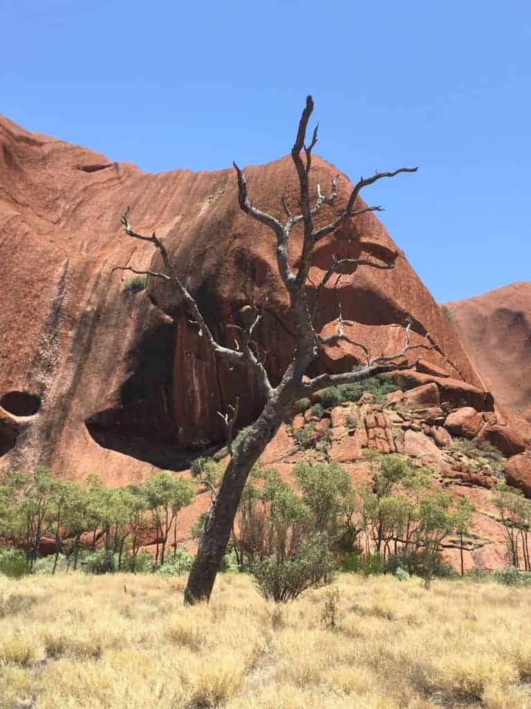 Uluru