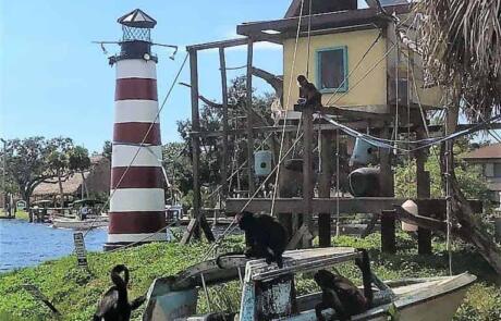 homosassa monkey island