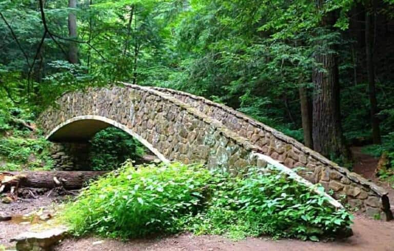 Hocking Hills State Park - The Bridge At Old Mans Cave