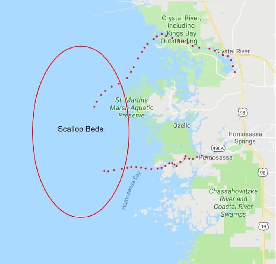 Homosassa Is It Better Than The Crystal River?