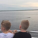 Best Airboat Rides Near Orlando
