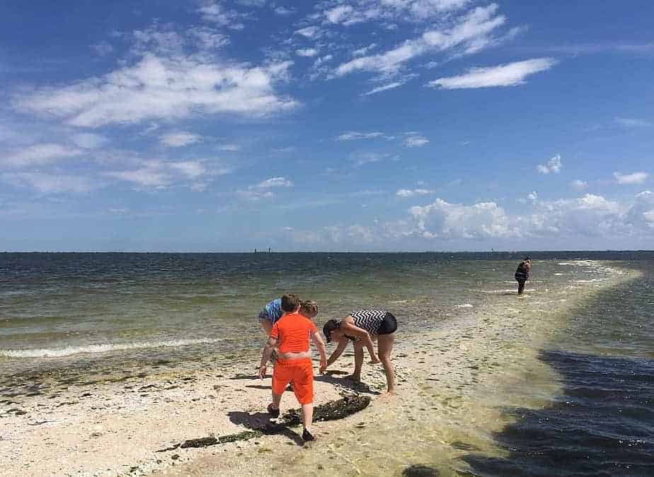 Titusville Sand Bar