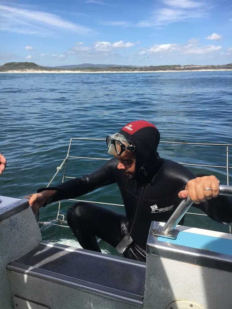 Cage Diving with Great White Sharks