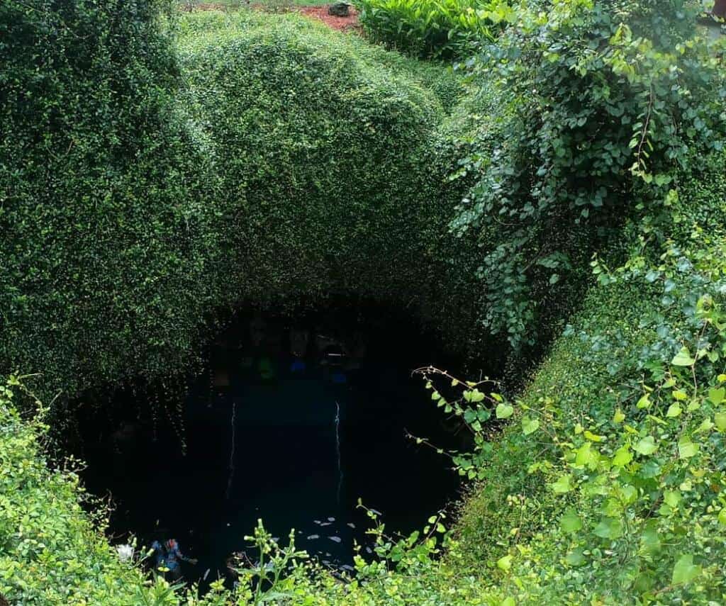 Devil's Den Prehistoric Spring