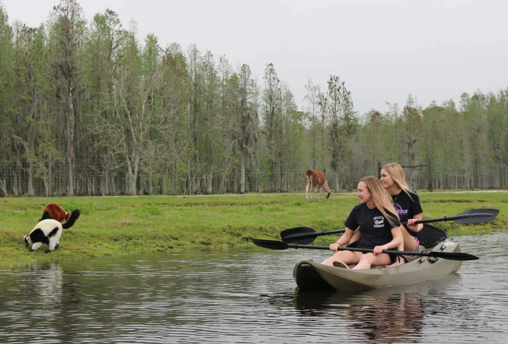 Safari Wilderness