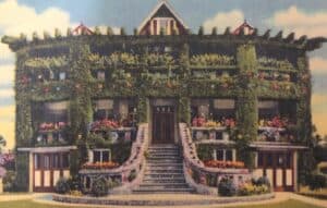 The Wonder House
