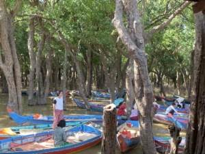 canoe tonle sap floating village