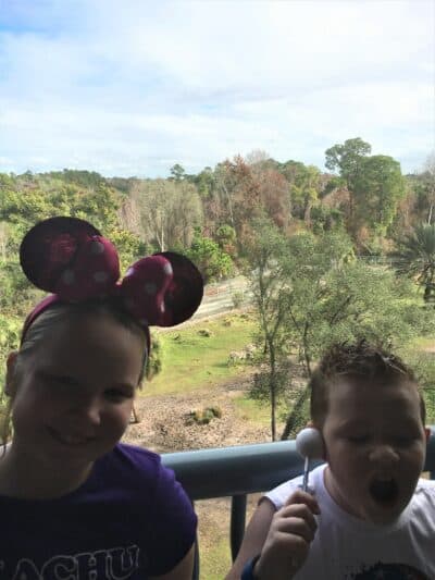 davids dvc