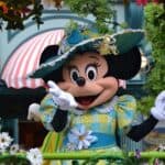 davids dvc