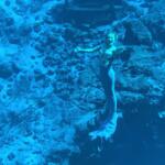 Mermaid Show in Florida