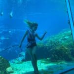 Mermaid Show in Florida