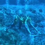 Mermaid Florida
