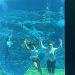 Mermaids Of Weeki Wachee Springs