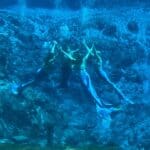 Mermaids Of Weeki Wachee Springs