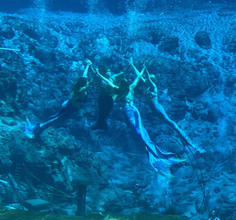 Mermaids Of Weeki Wachee Springs