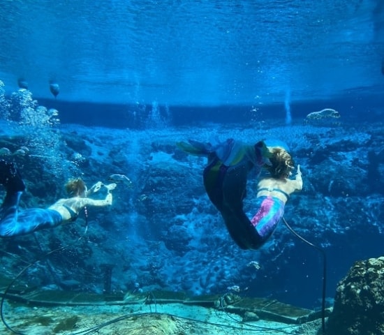 Mermaid Show in Florida