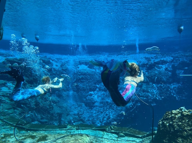 Mermaid Show in Florida