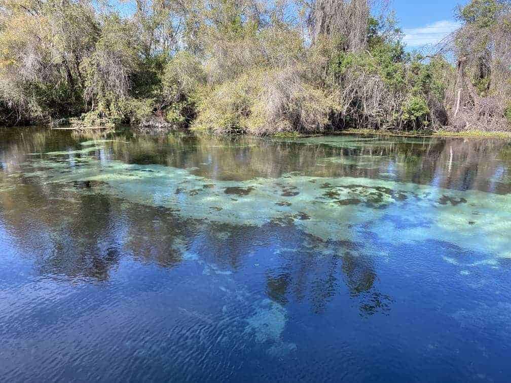 Weeki Wachee Springs Boat Ride