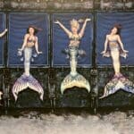 mermaid show in florida