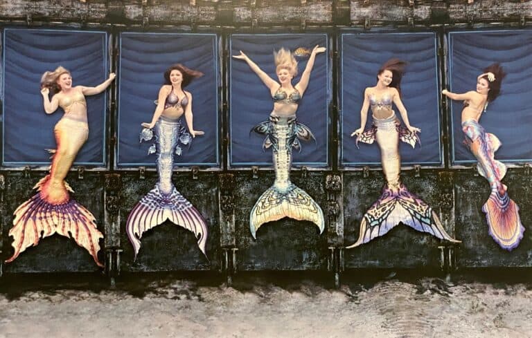 Mermaids Of Weeki Wachee Springs