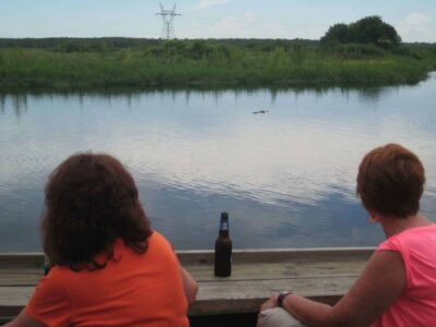 Best Airboat Rides Near Orlando