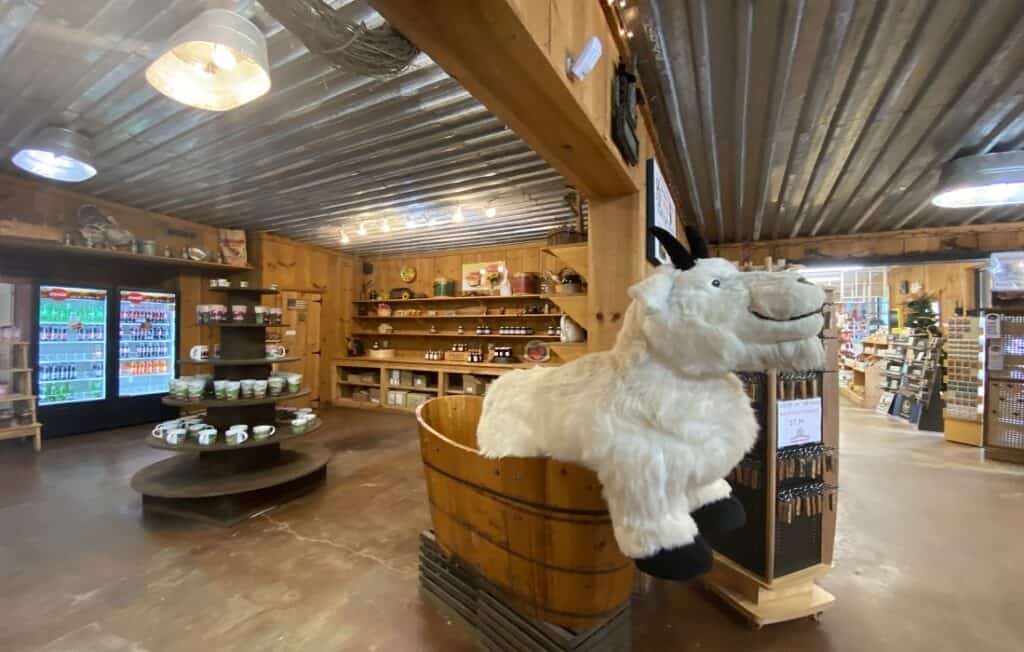 The Goats On The Roof in