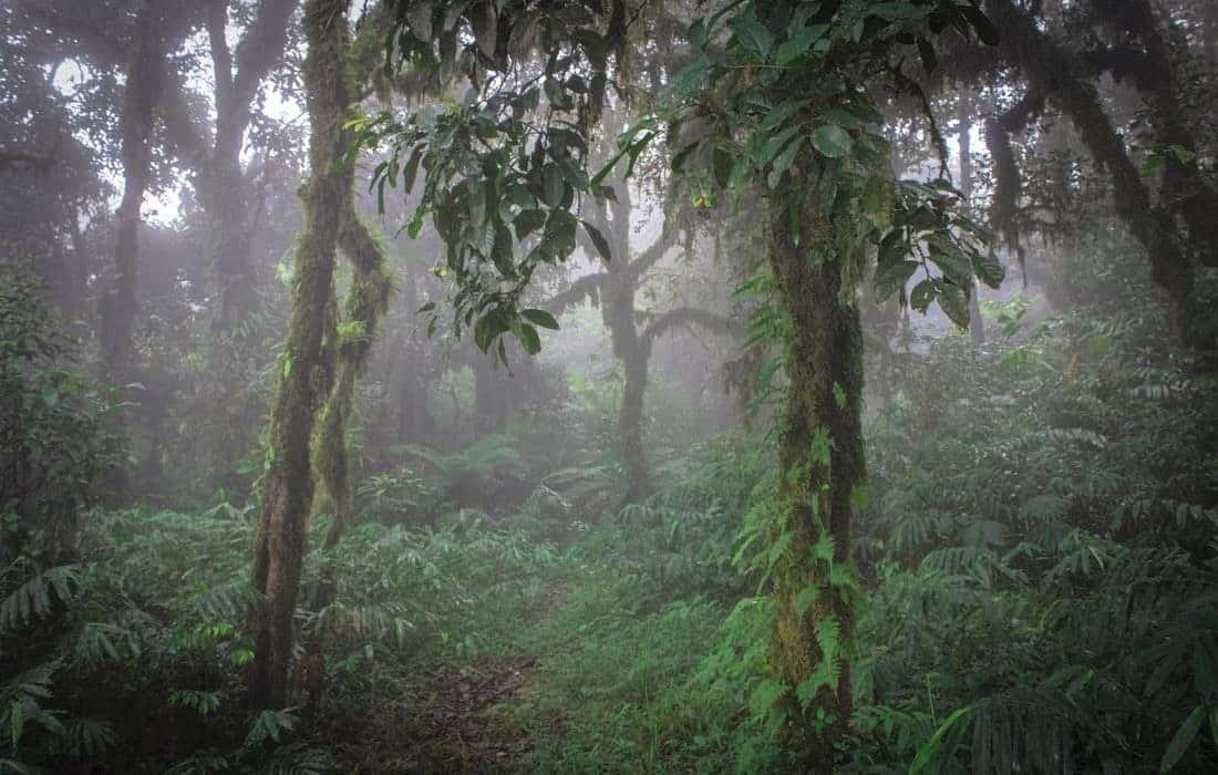 Monte Allen National Park