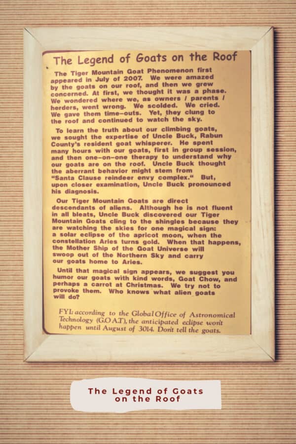 The Goats On The Roof in