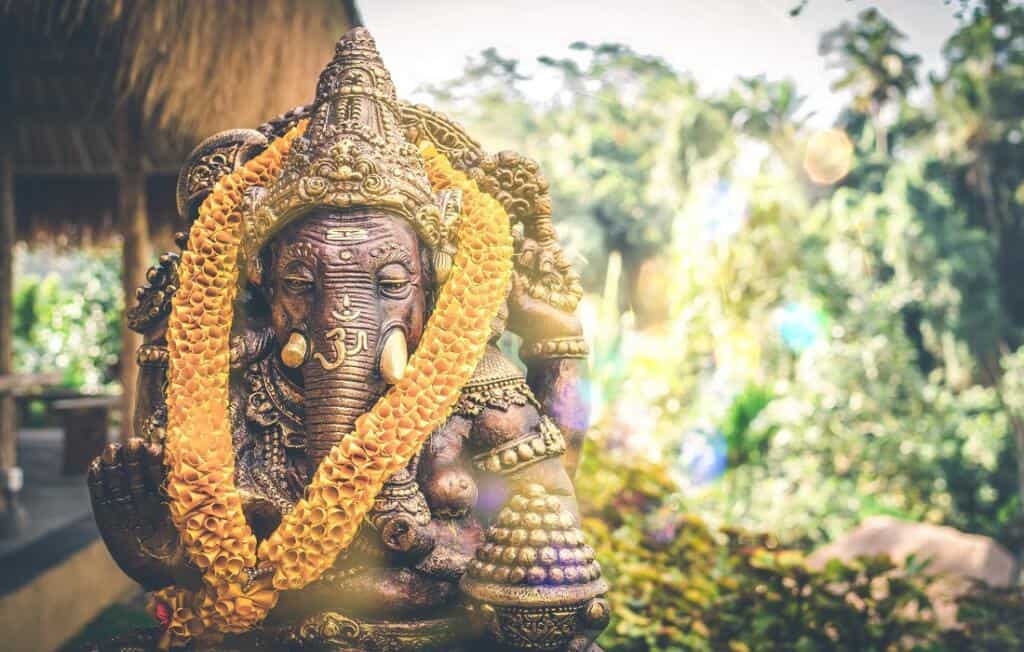 Travel To India From USA