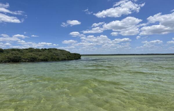 Hernando Beach - The Complete Guide To The Gulf Of Mexico