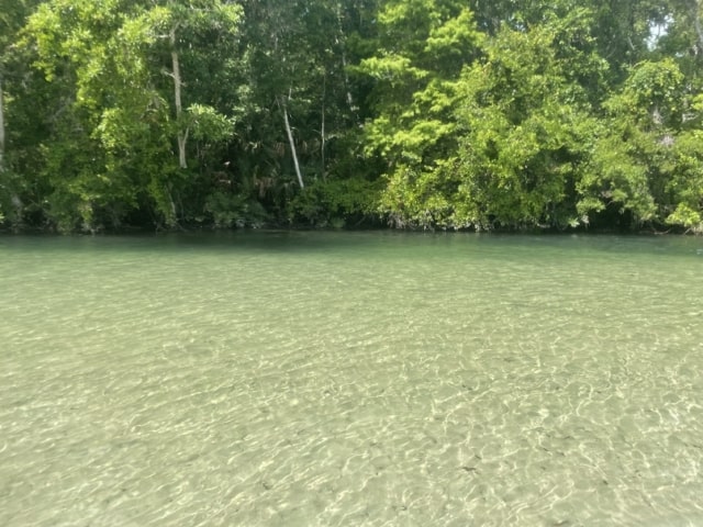 Weeki Wachee