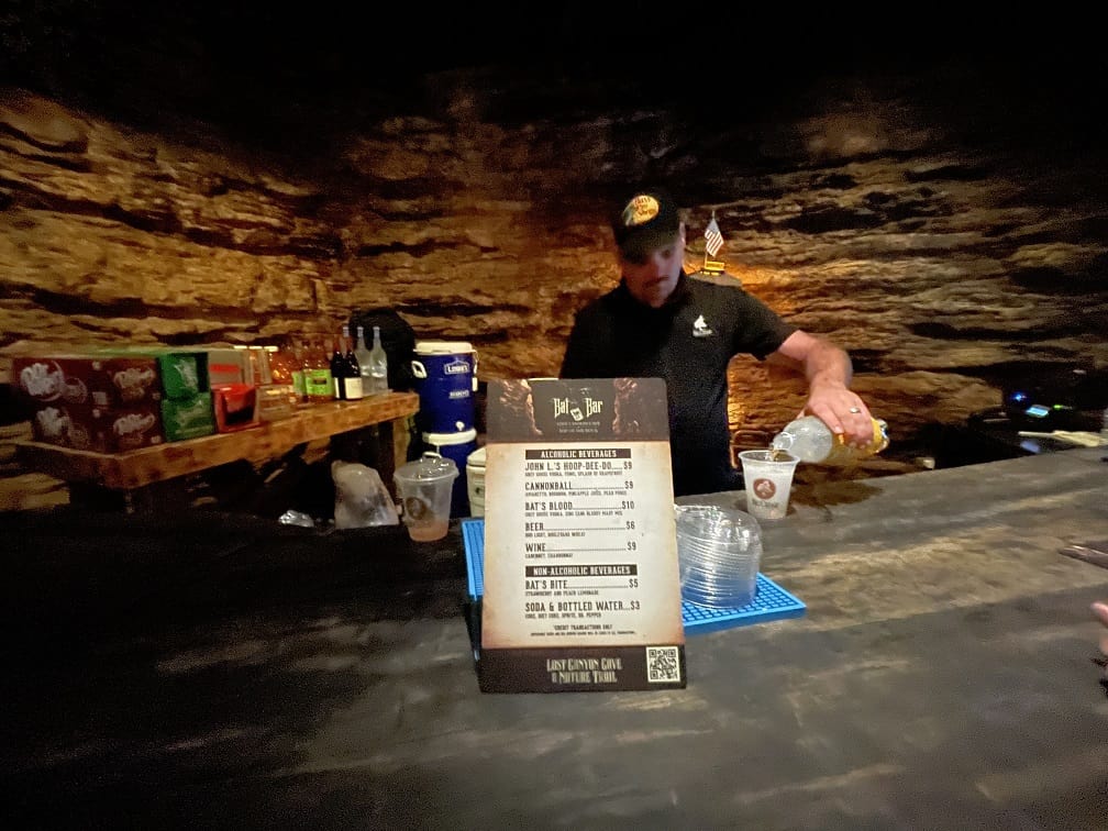 Lost Canyon Cave Bat Bar