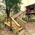 Florida's Best Tree House Rental