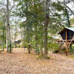Florida’s Best Treehouse Rental Ever