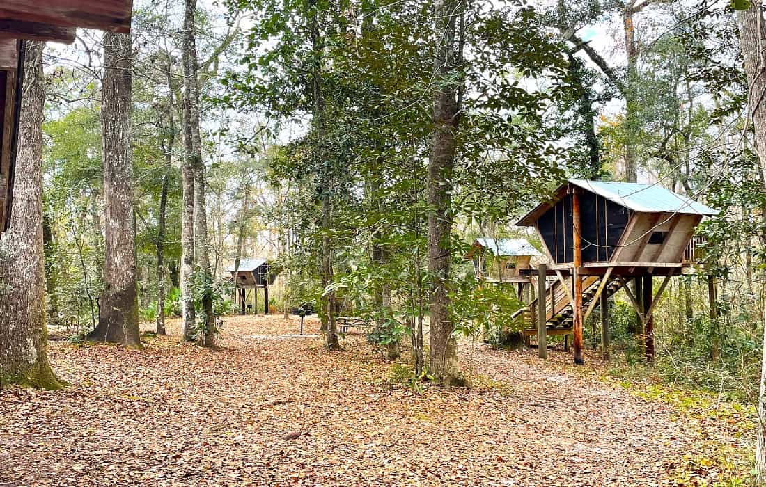 Florida’s Best Treehouse Rental Ever 