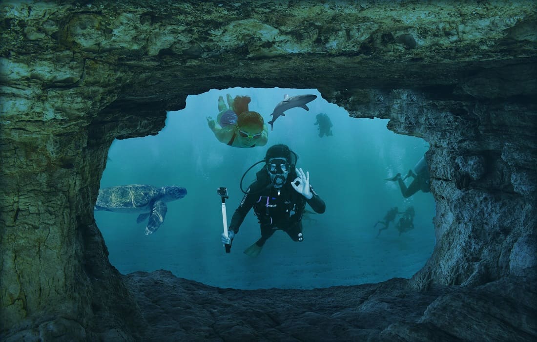 Shark Dive Turks and Caicos