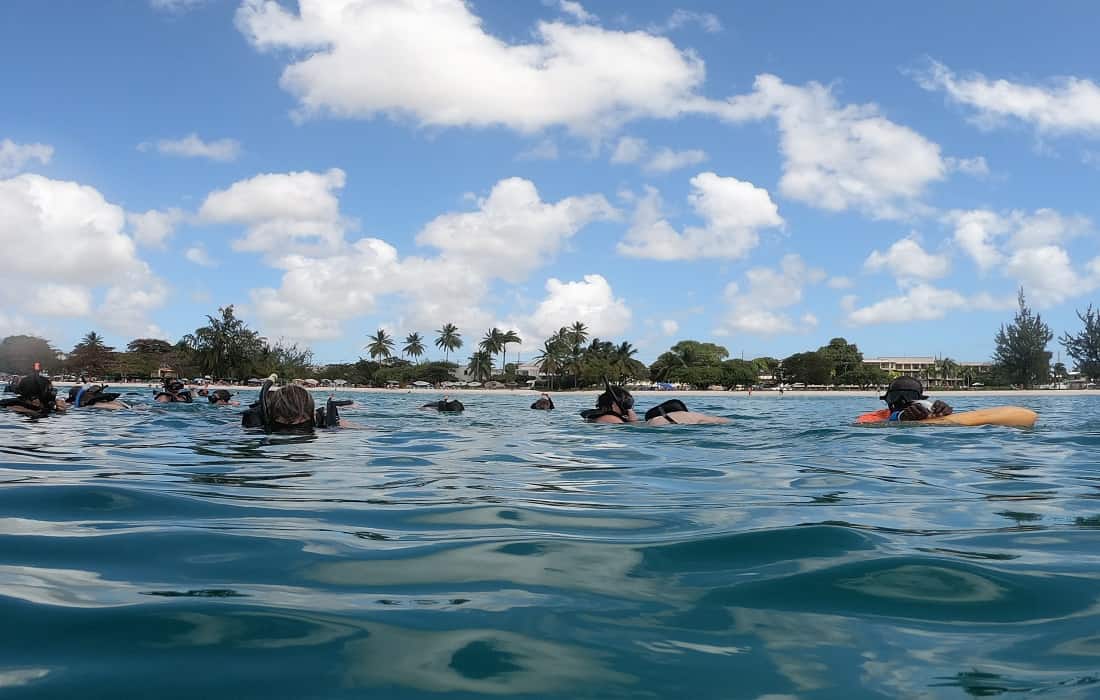 Travel To Barbados