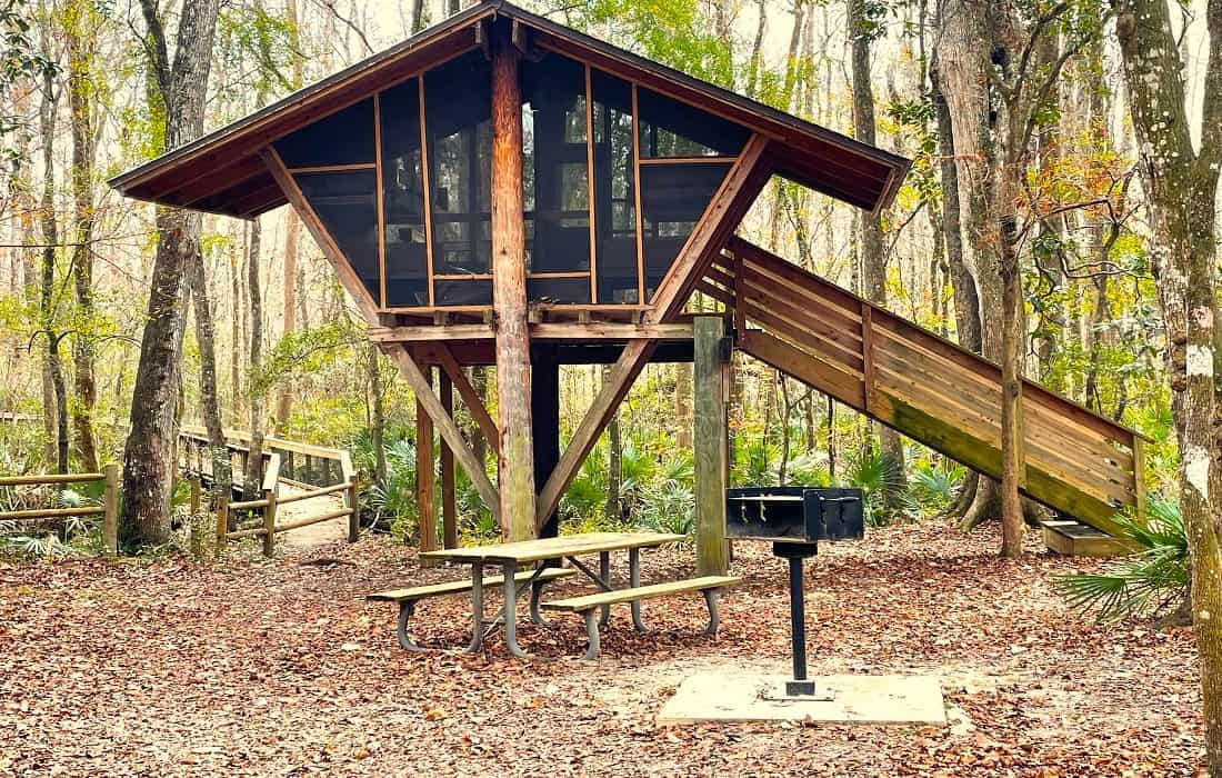 Treehouse Rental Cover